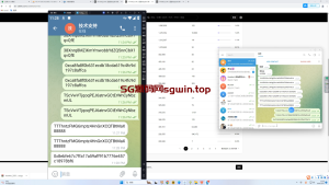 假TG假飞机telegram2.0中文版|篡改钱包地址|支持篡改三链|带搭建教程-K手源码 - 100%完整可用源码