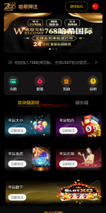 哈希竞彩/哈希值游戏/28游戏/usdt游戏-K手源码 - 100%完整可用源码