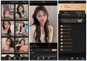 海外三国语言视频打赏空降约会源码/支持日文英文韩文-K手源码 - 100%完整可用源码